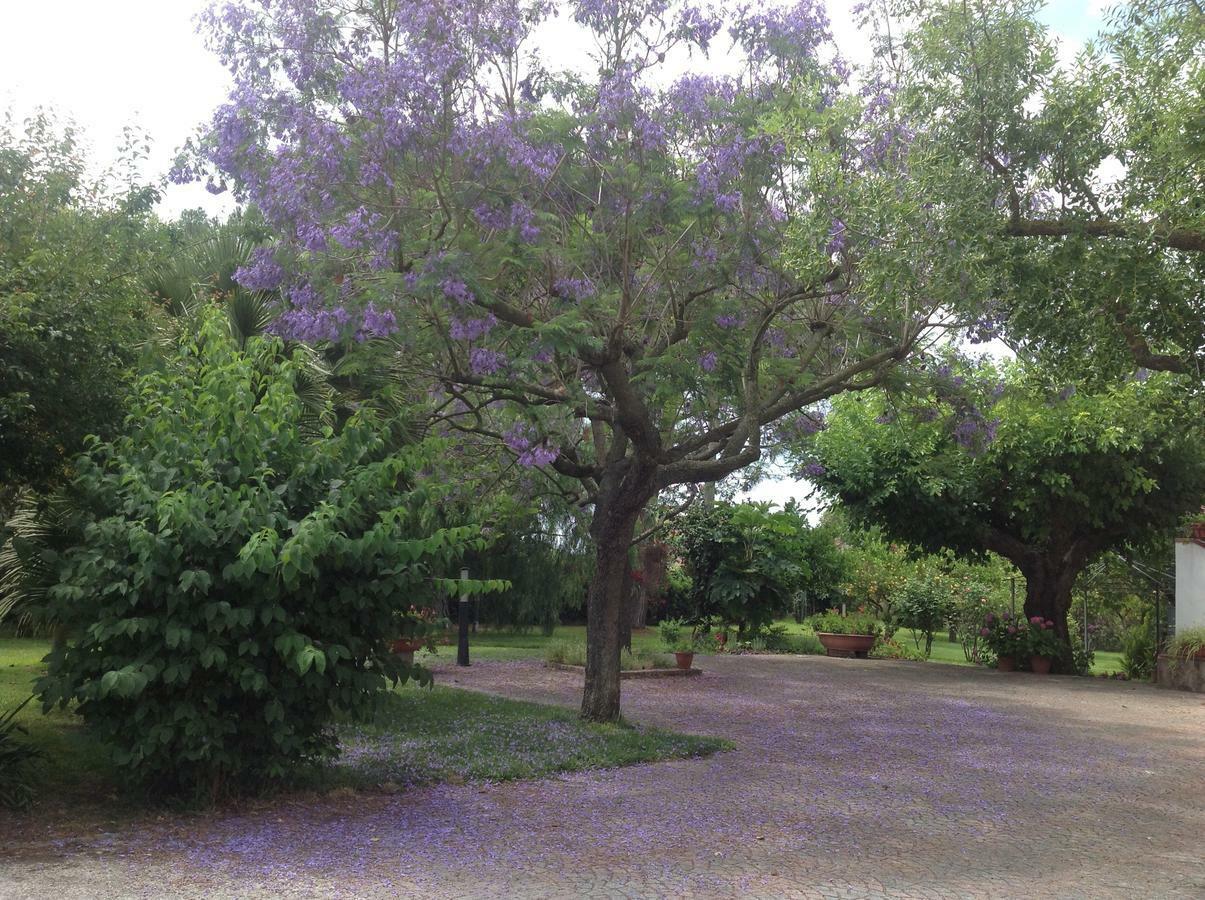 La Quercia Bed & Breakfast Altavilla Silentina ภายนอก รูปภาพ